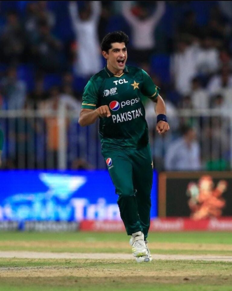 Continued Growth & Global Recognition (2024–2025)