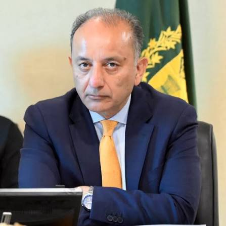 Federal Minister for Climate Change & Environmental Coordination