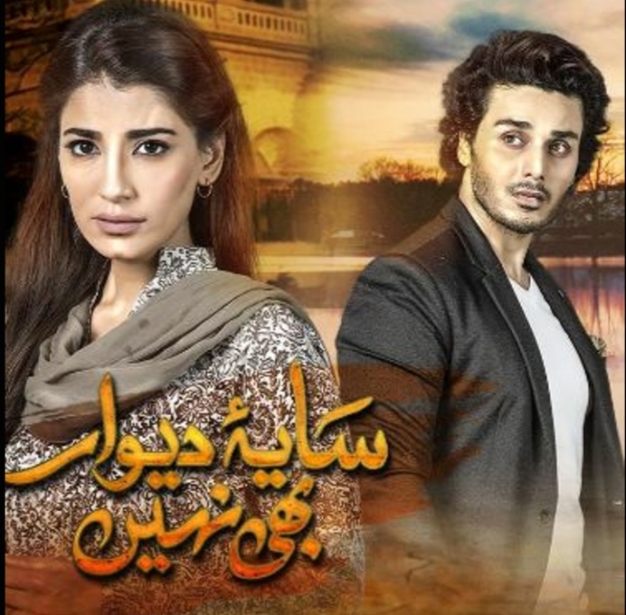 Saya-e-Dewar Bhi Nahi (Hum TV)