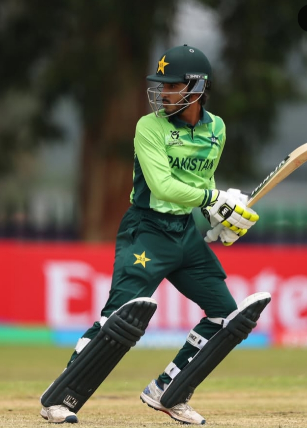  Key Domestic Performances