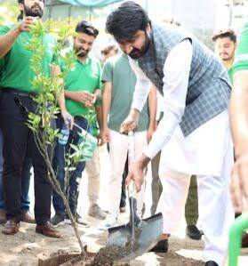 Brand Expansion & Menu Growth