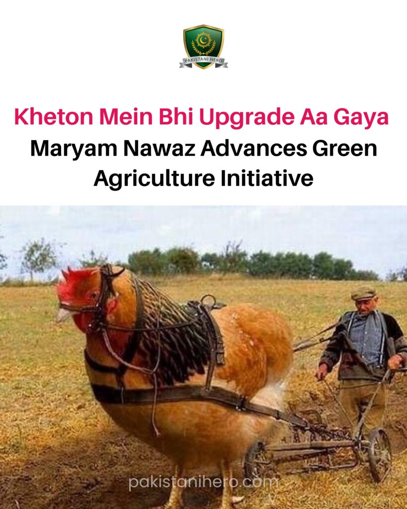 Government youth initiatives and funding programs boost startup activity and job creation prospects across Pakistan.