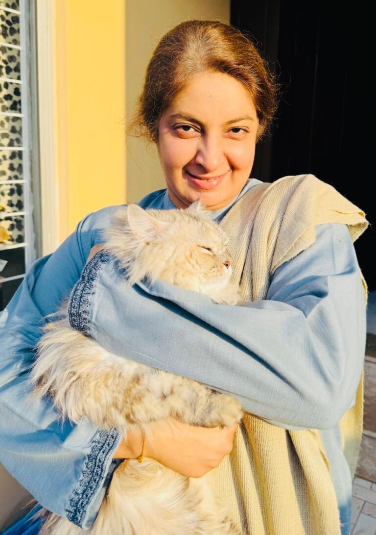 Telecom Foundation Education System