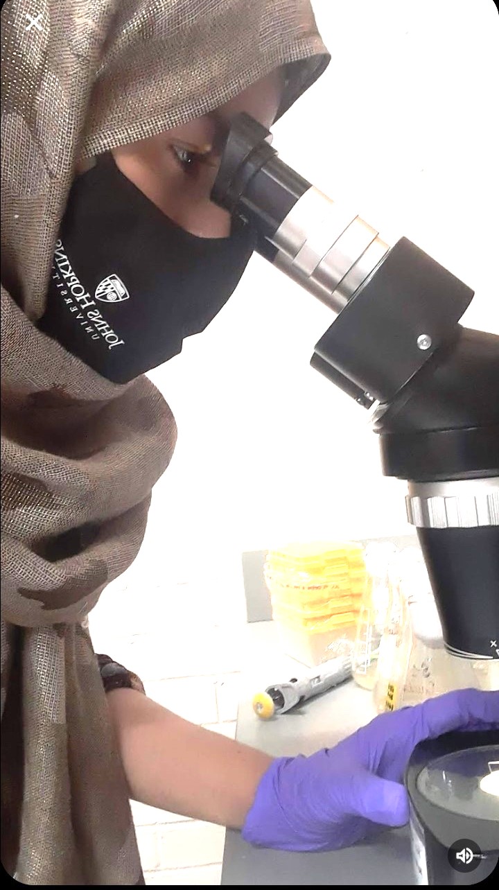 Breakthrough in Bioplastics