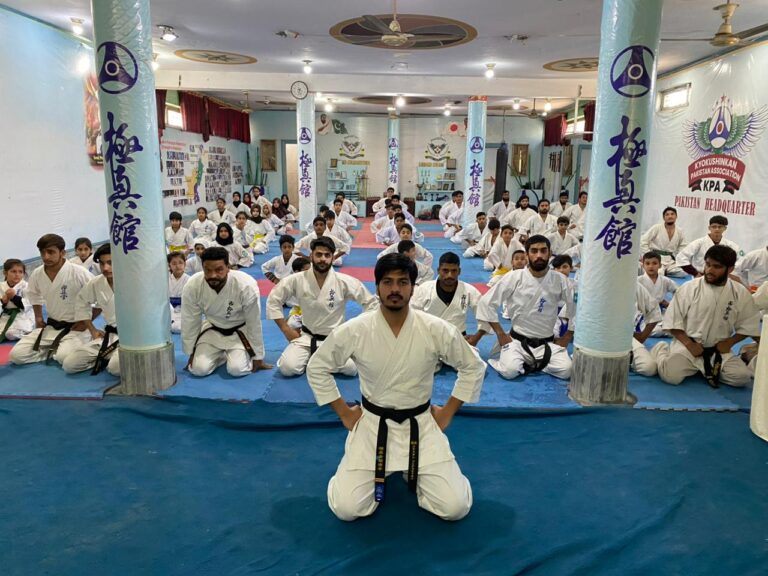 Started Martial Arts Journey