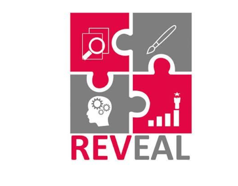 Co-founder, Reveal Pakistan