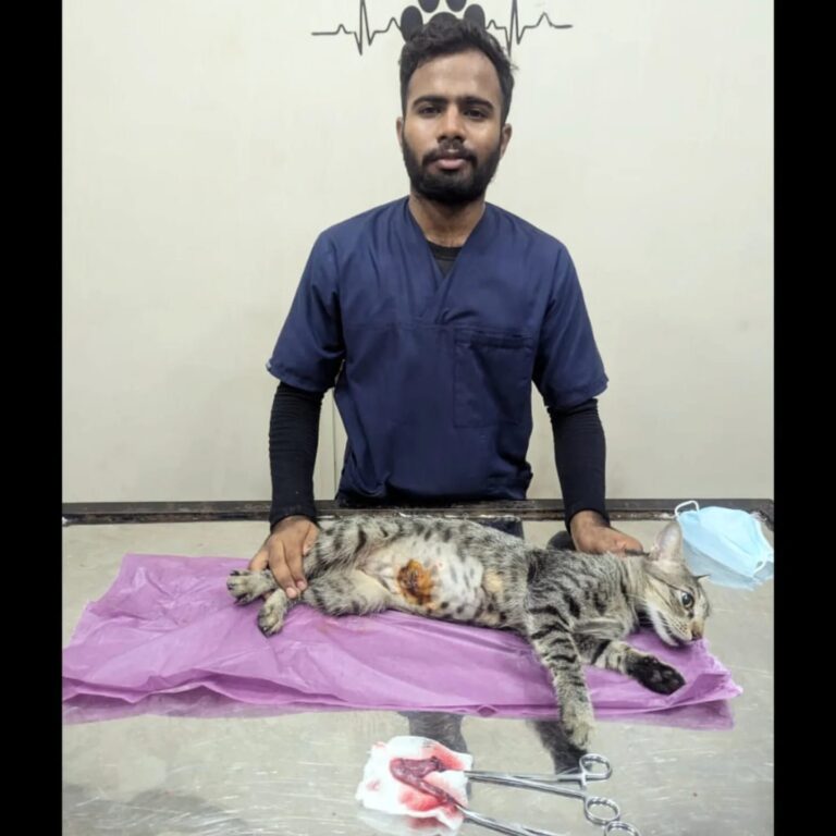 Community Coordinator for Rabies Control