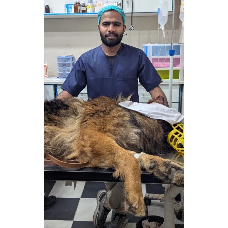 Dog Health Champion