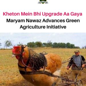 Government youth initiatives and funding programs boost startup activity and job creation prospects across Pakistan.